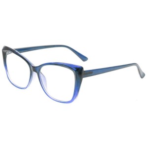 Plastic Reading Glasses